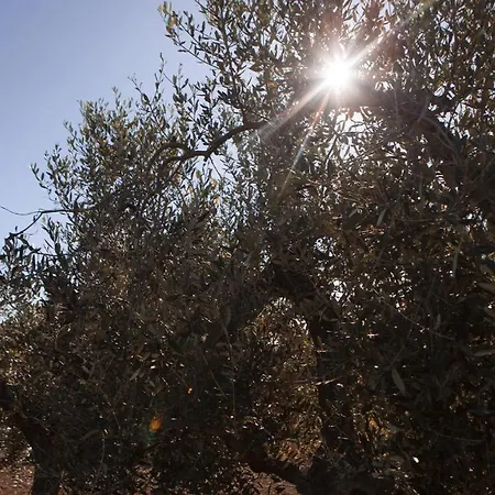 Alloggio per agriturismo Tenute Donna Franca Elice