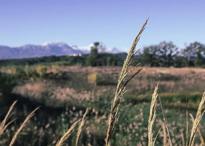 Tenute Donna Franca *